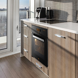 combi oven.png__PID:3c1fb3b8-9794-46f0-8aff-c757c26645eb